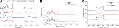 Polyblend Nanofibers to Regenerate Gingival Tissue: A Preliminary In Vitro Study